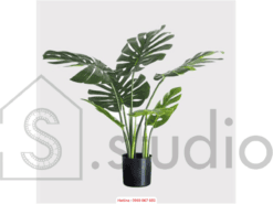 Cây nhiệt đới giả (150 -1)